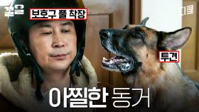동물농장 아저씨가 투견을 만나면? | 빅포레스트