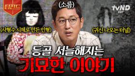 공포썰 좋아하는 사람?🙋 온몸에 소름이 끼치는 전 세계의 괴담.zip | #프리한19 #티전드