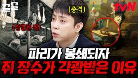 장기화된 파리 봉쇄로 새롭게 떠오른 직업, 쥐 장수💥 식량 부족으로 온갖 동물을 잡아먹은 파리 시민들 | 벌거벗은세계사