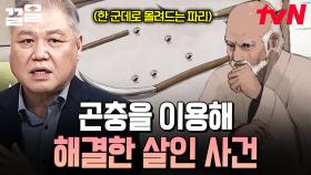 곤충을 이용해 사건을 해결했다?! 역사 속 살인 사건 해결 방법❗ | 벌거벗은세계사