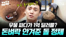 뒷마당 우물 파다가 나온 돌 하나가 1,155억짜리 사파이어?! 💎 | 프리한19
