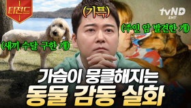 기특해서 무한 복복복 해주고 싶은 동물들🫳 마음이 따뜻해지는 감동 실화♡ | #프리한19 #티전드