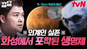 화성에 외계인이 실존한다? 세상을 떠들썩하게 한 외계 생명체 미스터리 | 프리한19