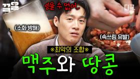 맥주와 잘 어울리는 안주라고 생각했는데⁉️ 맥주와 땅콩 조합에 숨겨진 충격적인 사실💥 | 프리한19