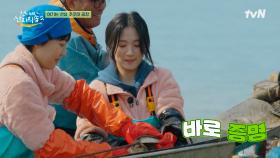 일 잘하는 김혜윤 스카우트하는 선장님ㅋㅋ 혜윤이 기특해 죽으심⛴️ | tvN 250615 방송