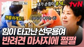 힘 풀고 젠틀하게... 사랑하는 아마를 위해 열심히 마사지 배우는 선우용여💦 | 대화가필요한개냥