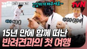 반려견 아마와 떠나는 첫 여행🎒 바다에서 아마와 행복한 시간 보내는 선우용여 | 대화가필요한개냥