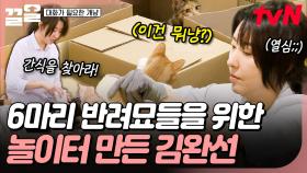 여섯 반려묘를 위한 분주한 움직임💨 고양이들이 놀 수 있게 놀이터 만드는 김완선 | 대화가필요한개냥