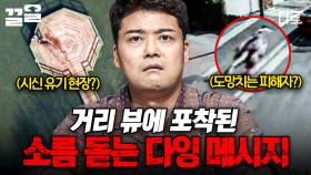 거리 뷰에 포착된 시신 유기 현장😱 위성 지도 속 거리 뷰 미스터리 | 프리한19