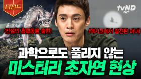 미스터리 덕후들 모여🙋 과학자들도 설명을 포기한 전 세계의 초자연 현상들 | #프리한19 #티전드