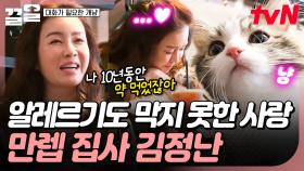 알레르기도 막을 수 없는 고양이 사랑💓 고양이에 대한 상식이 풍부한 김정난✨ | 대화가필요한개냥