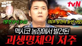 괴생명체를 발견한 멕시코 농장주가 죽었다?! 원인을 알 수 없는 죽음에 얽힌 저주 미스터리 | 프리한19