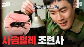 관물대에서 사슴벌레 키우는 군인 실존ㅋㅋ | 푸른거탑