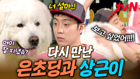 보고 싶었던 투 샷✨ 그 시절 대유잼 케미를 자랑했던 은지원과 상근이의 재회😆 | 세얼간이