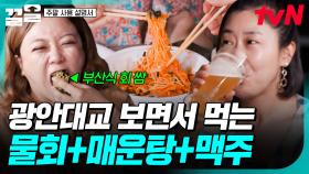 광안대교 보며 물회&매운탕&맥주 먹방✨ 주말러들이 부산 즐기는 법 大공개 | 주말사용설명서