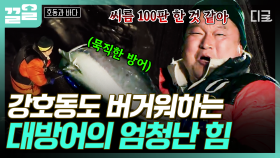 천하장사 강호동, 대방어와 씨름하다❗ 압도적인 크기를 자랑하는 동해 바다의 대방어🐟 | 호동과바다