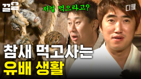 한밤중에 배가 고파 곳간을 열어보니~ 한 귀퉁이에 참새가 있네♬ | 렛츠고시간탐험대