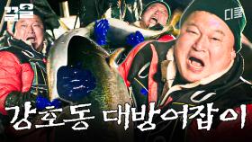 이제 이 대방어는 제 겁니다 | 호동과바다
