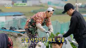 가는 곳마다 스카우트 제의받던 일잘러 덱스의 귀환!💪 | tvN 250629 방송