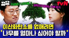이산화탄소 농도 증가로 찾아온 기후 위기💦 이산화탄소를 없애려면 몇 그루의 나무를 심어야 할까? | 알쓸별잡