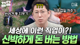 강아지 똥도 치우고, 갑각류 껍데기도 대신 까 준다?! 각양각색 돈 버는 방법💸 | #프리한19