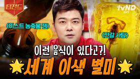 전갈이 통째로 들어있는 사탕부터 영국이 사랑하는 악마의 잼까지?! 🦂 새로운 음식 도전하고 싶은 사람 모여라🙋 | #프리한19 #티전드