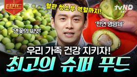 슈퍼 푸드의 세계에 초대합니다🥑 천연 종합 영양제부터 혈관 청소부 역할까지 하는 이 음식들! | #프리한19 #티전드