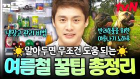 여름철에는 '이것'을 조심해야 합니다❗ 알아두면 좋은 여름철 꿀팁 大공개 | 프리한19