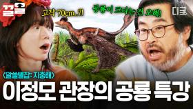 ☆공룡 특강☆ 이정모 관장이 알려주는 공룡에 대한 오해와 진실🦖 | #알쓸별잡:지중해