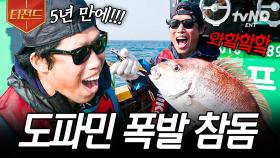 이 짜릿한 손맛에 낚시하지🎣 대형 참돔 잡고 도파민 大폭발한 참바다 유해진 씨 | #삼시세끼어촌편5 #티전드