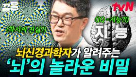 작지만 굉장히 중요한 역할을 하는 신체 기관🧠 뇌신경과학자가 풀어주는 흥미로운 뇌 이야기 | 어쩌다어른