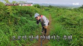 꽤 독특한 자세로(?) 오르막 등반하는 악바리 박주현⛰️ 하다 하다 어깨로 등반하기 시작함 ㅋㅋㅋㅋ | tvN 250815 방송