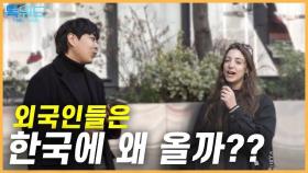 ENG SUB / 외국인이 한국에 꼭 오고 싶어한 이유는??? l [길거리 인터뷰] #streetinterview #interview #korea