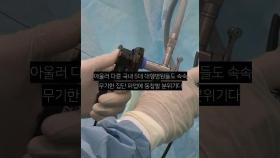 서울의대 교수들, 오늘부터 무기한 집단 진료거부