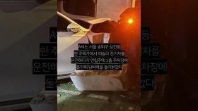 '원 페달' 혼동했나…테슬라 돌진 사고에 60대 운전자 '급발진' 주장