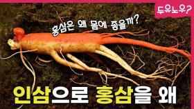 만들까 건강에 더 좋을까..｜인삼과 홍삼 이야기