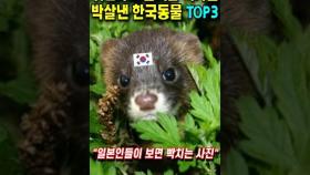 귀엽다고 훔쳐간 국가들 박살낸 한국동물 TOP3