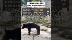 '왜 이렇게 앙상해?' 중국 동물원 흑곰 논란