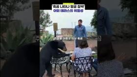 식사 도중 흑곰에게 맞을 확률은✋