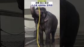 코끼리는 코가 손이래~호스를 주면은 샤워를 하지요