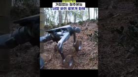 ‼질주본능‼ 로봇 개 화제