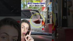 '하늘에서 뚝 떨어짐'❓…드라이브 스루에서 벌어진 황당 사건