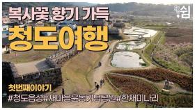 South Korea, Cheongdo Travel Guide I 청도 가볼만한곳 I 청도읍성,새마을운동발상지 기념공원,한재미나리