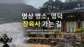 동해 비경을 따라 맞이한 힐링 고찰, 영덕 장육사 가는 길 | 사찰 여행 | 감성여행쉼