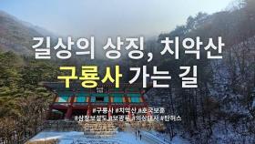 치악산 명품 숲길이 데려다준 원주 제1경, 구룡사 가는 길 [템플스테이 사찰] | 사찰 여행 | 감성여행쉼 | #11 | Must-visit Temples in S. Korea