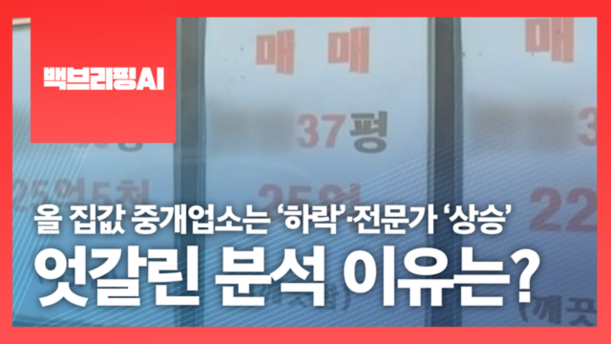 [백브리핑AI] 올 집값 중개업소는 ‘하락’·전문가 ‘상승’…엇갈린 분석 이유는? | ZUM TV