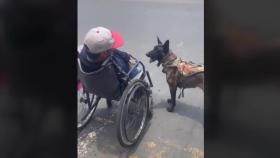 몸 불편한 주인 휠체어 미는 반려견…2000만이 감동했다 [영상]