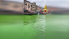 '녹색' 베네치아 운하 미스터리…범인 지목 환경단체 