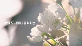 1억 송이 꽃들의 향연…일산호수공원서 고양국제꽃박람회 개막