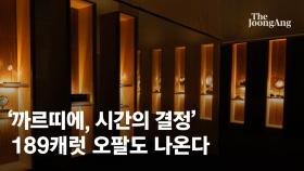 '146 캐럿' 사파이어만 13개…최고가 주얼리, 까르띠에의 상징 [까르띠에 디지털 도슨트 ②]